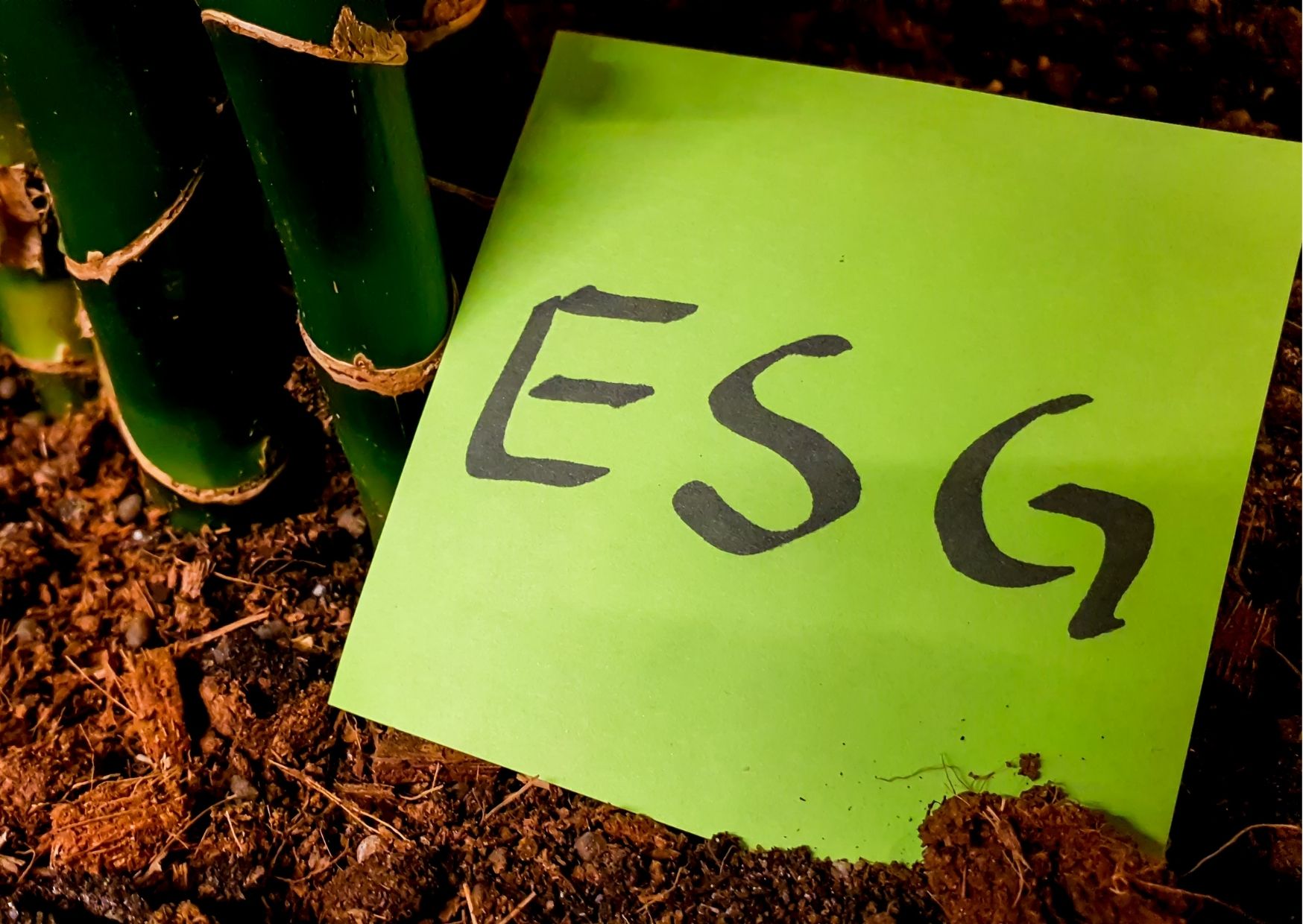 Leia mais sobre o artigo ESG: a nova tendência que impacta positivamente no valuation da empresa